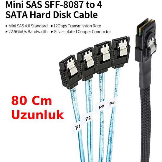 SAS SFF-8087 to 4 SATA Disk kablosu 80cm