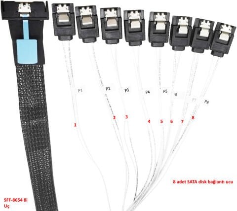 SAS SFF-8654 8I - 8X SATA 7P Kablo 50Cm